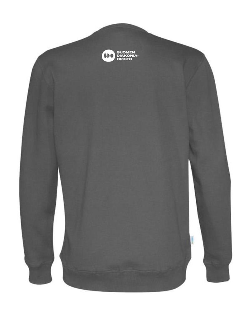 Collegepaita-harmaa-takaa